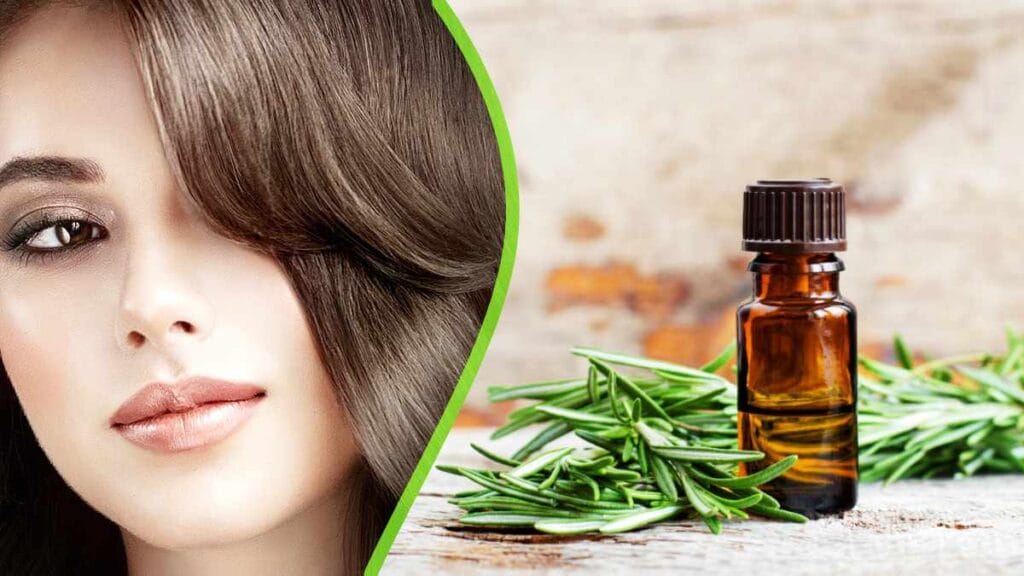 زيت اكليل الجبل للشعر , الأشخاص الباحثون عن علاجات طبيعية لتساقط الشعر