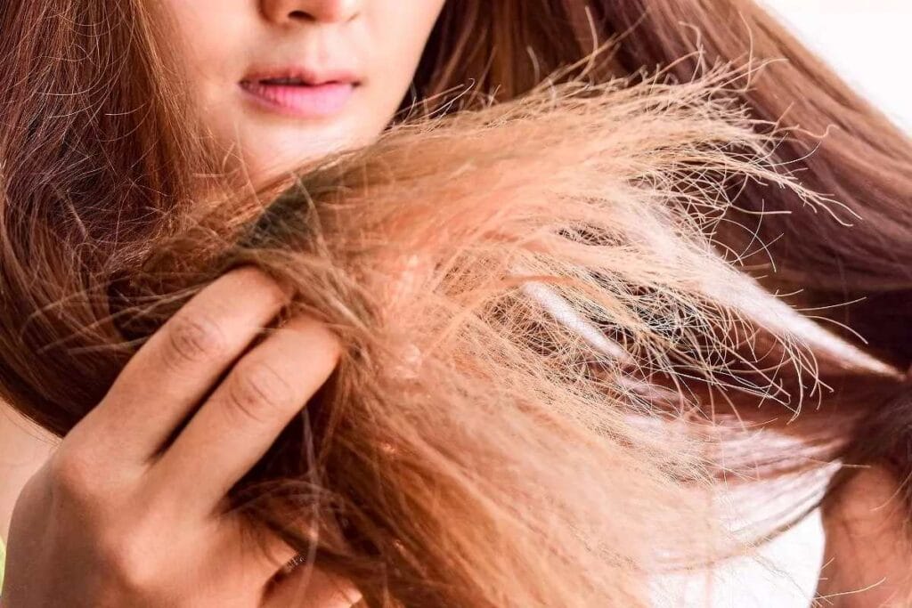 افضل تريتمنت للشعر الجاف